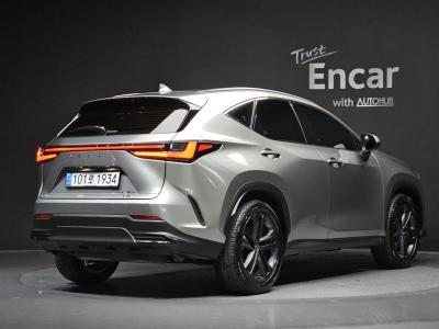 2025 Lexus NX
