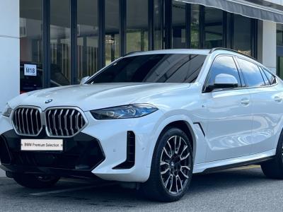2024 BMW X6