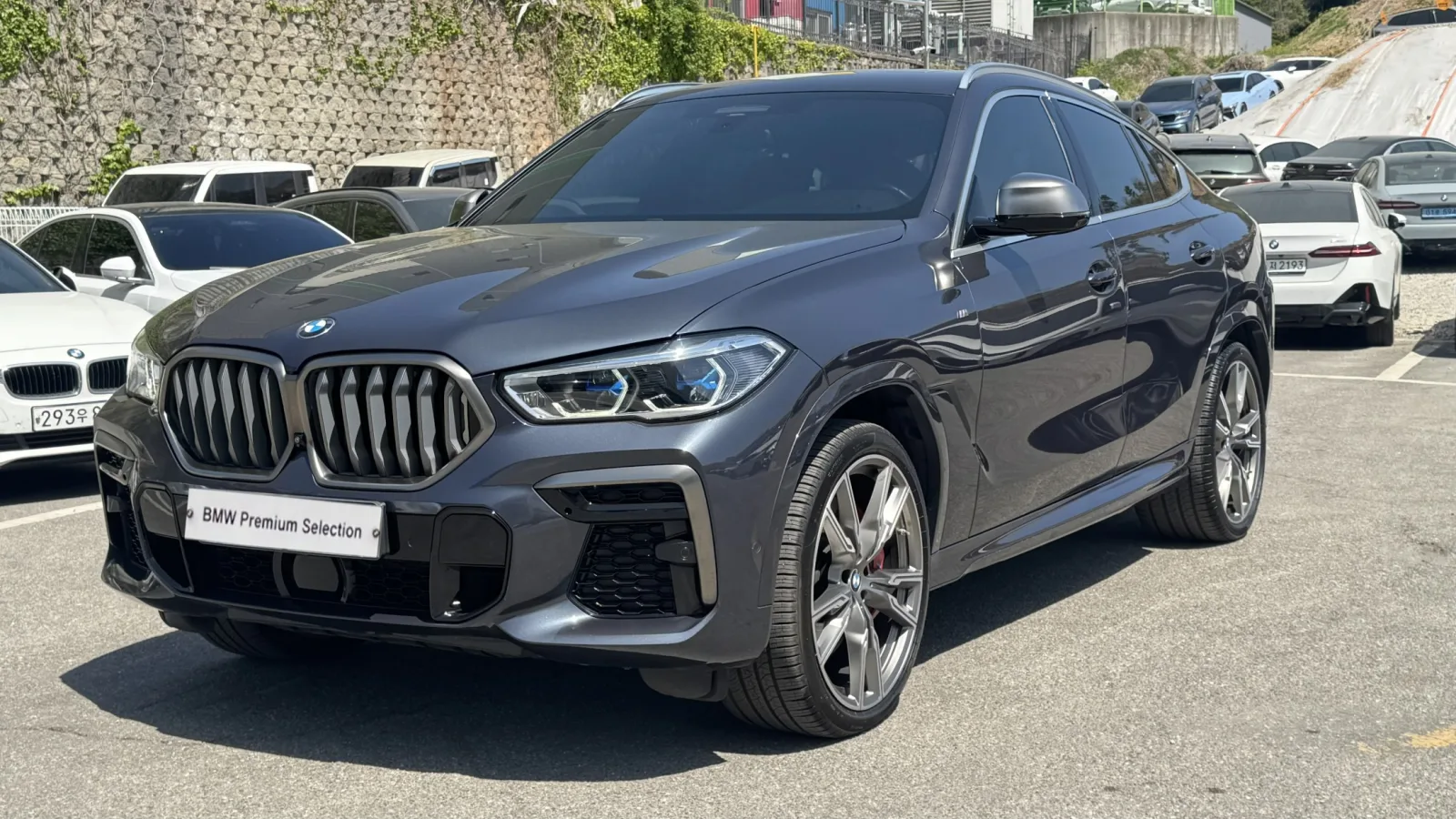 2022 BMW X6