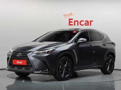 2025 Lexus NX
