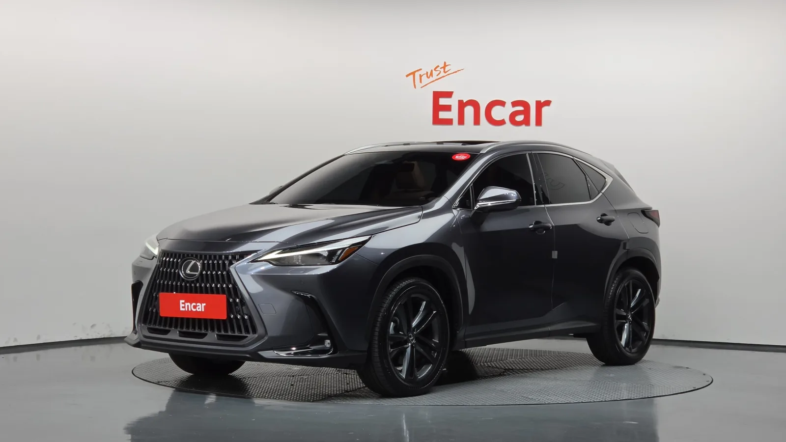 2025 Lexus NX