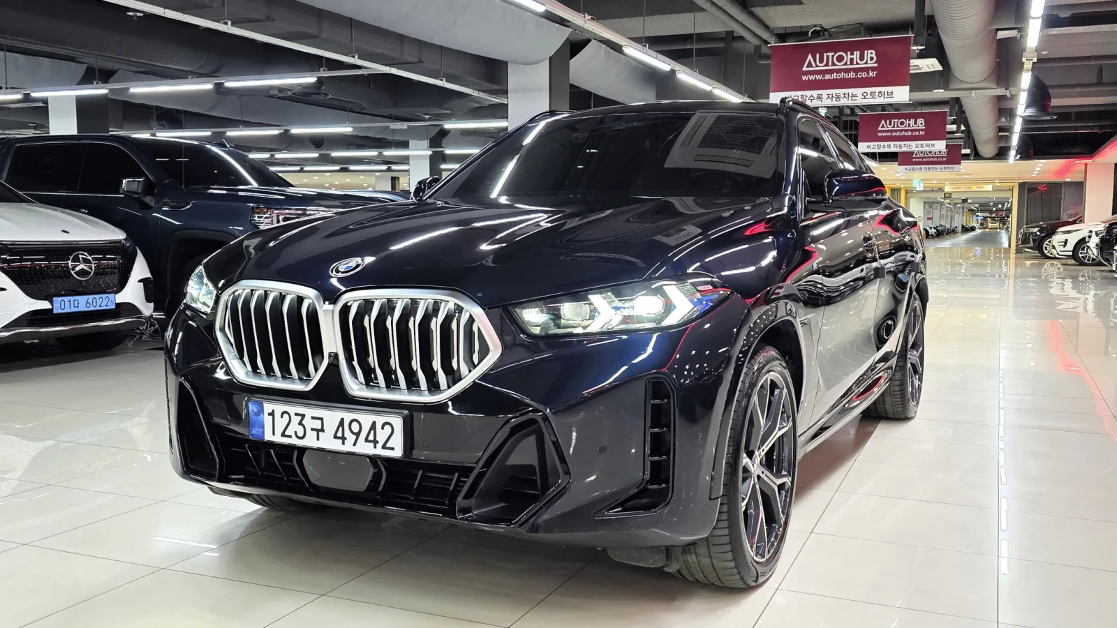 2024 BMW X6