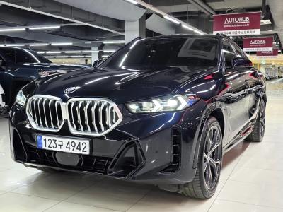 2024 BMW X6