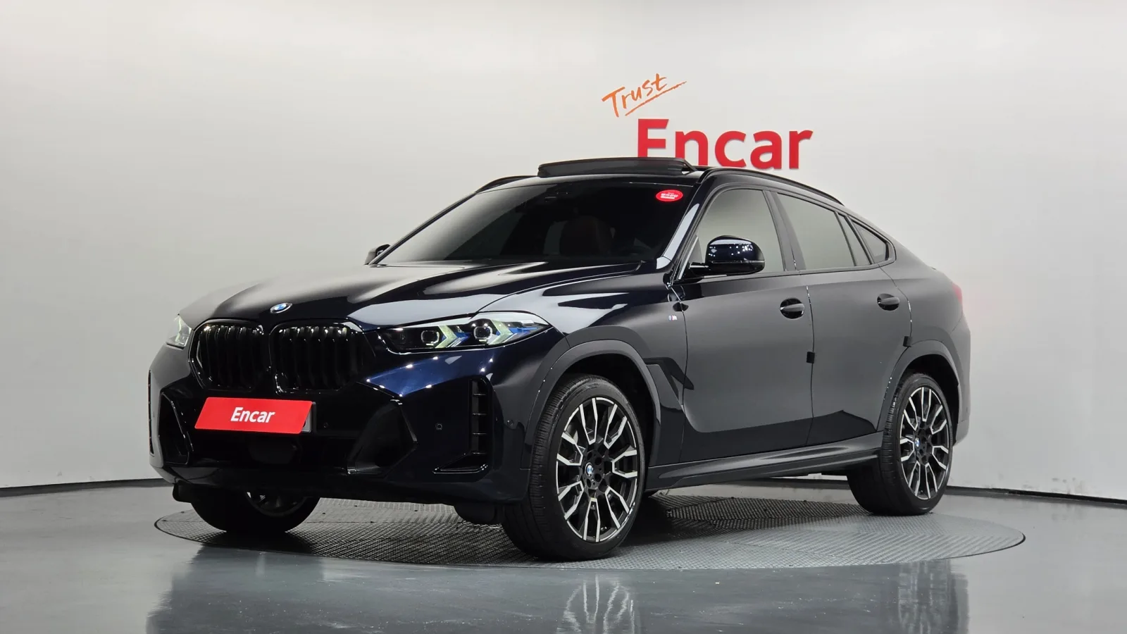 2025 BMW X6