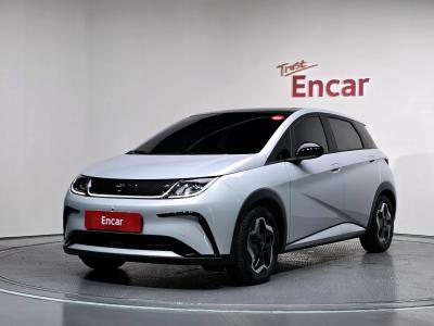 2026 BYD Dolphin