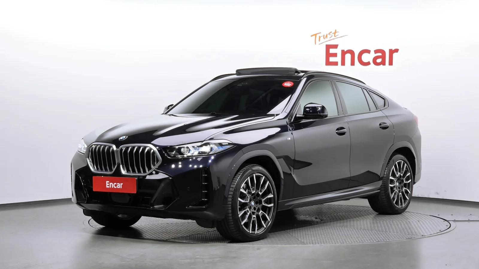 2024 BMW X6