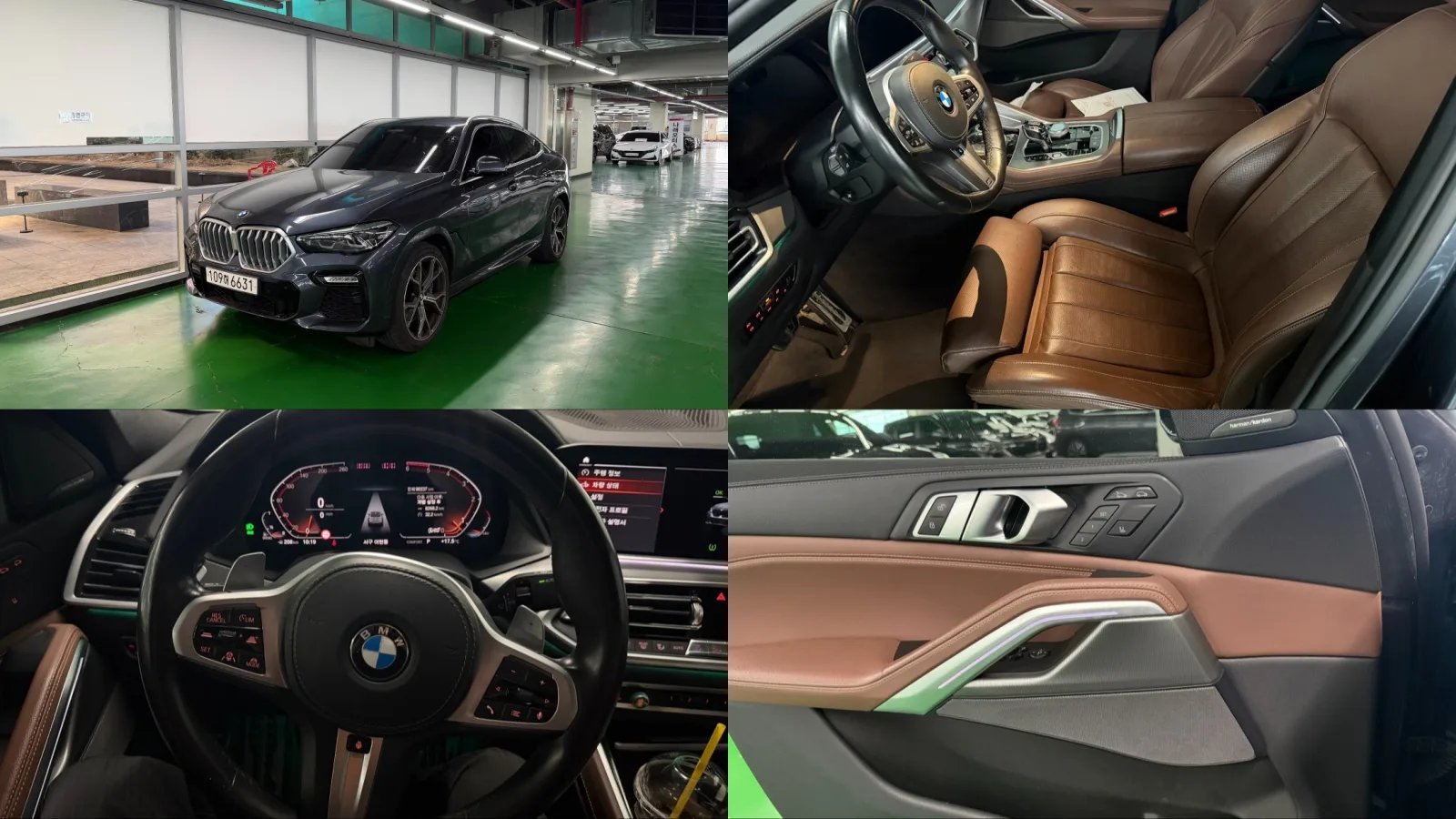 2020 BMW X6