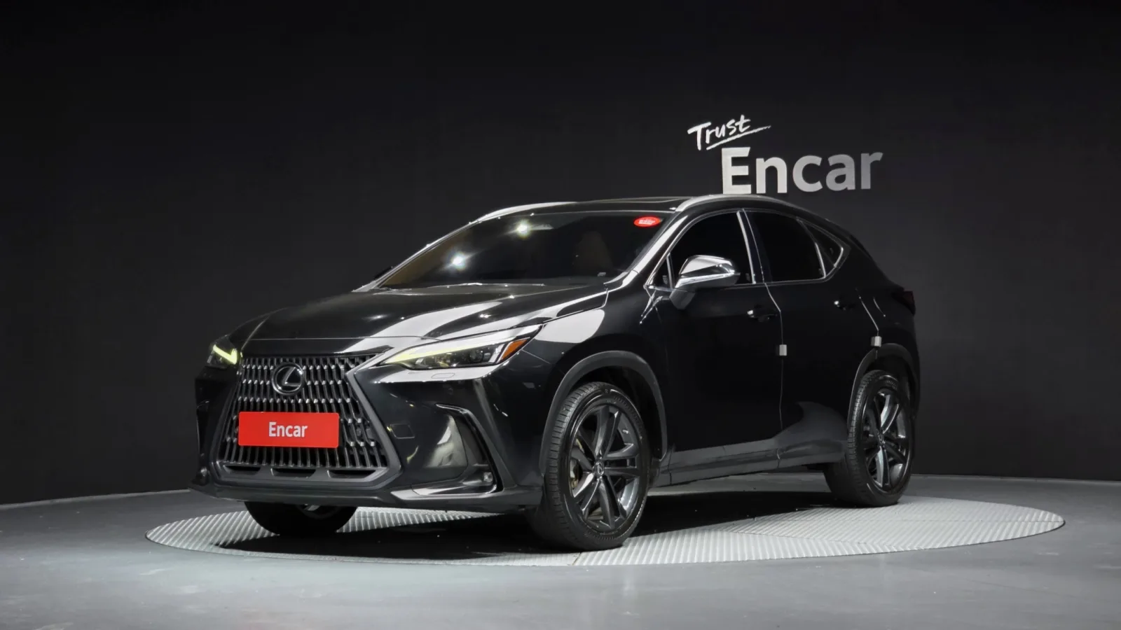 2023 Lexus NX