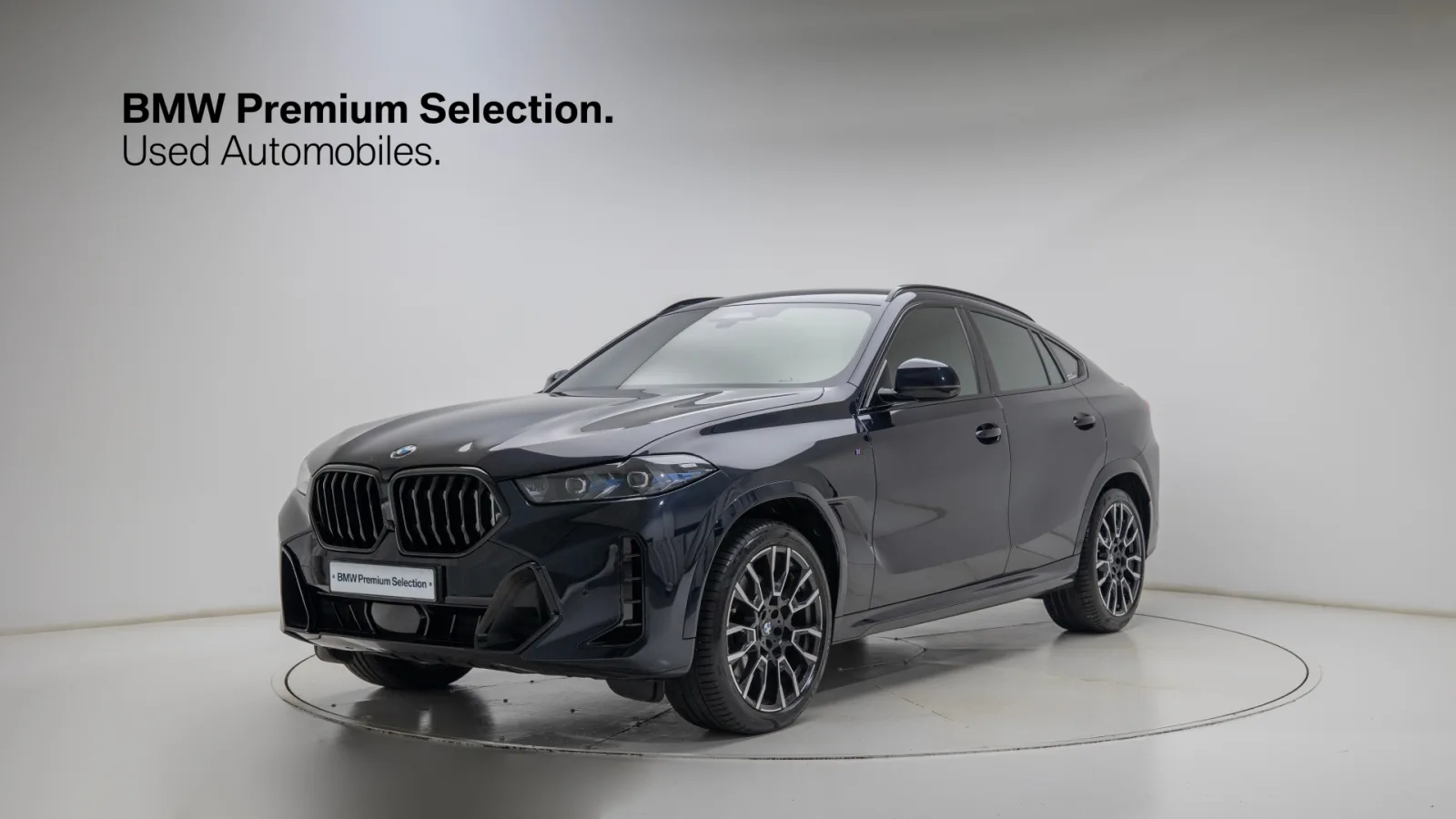 2025 BMW X6