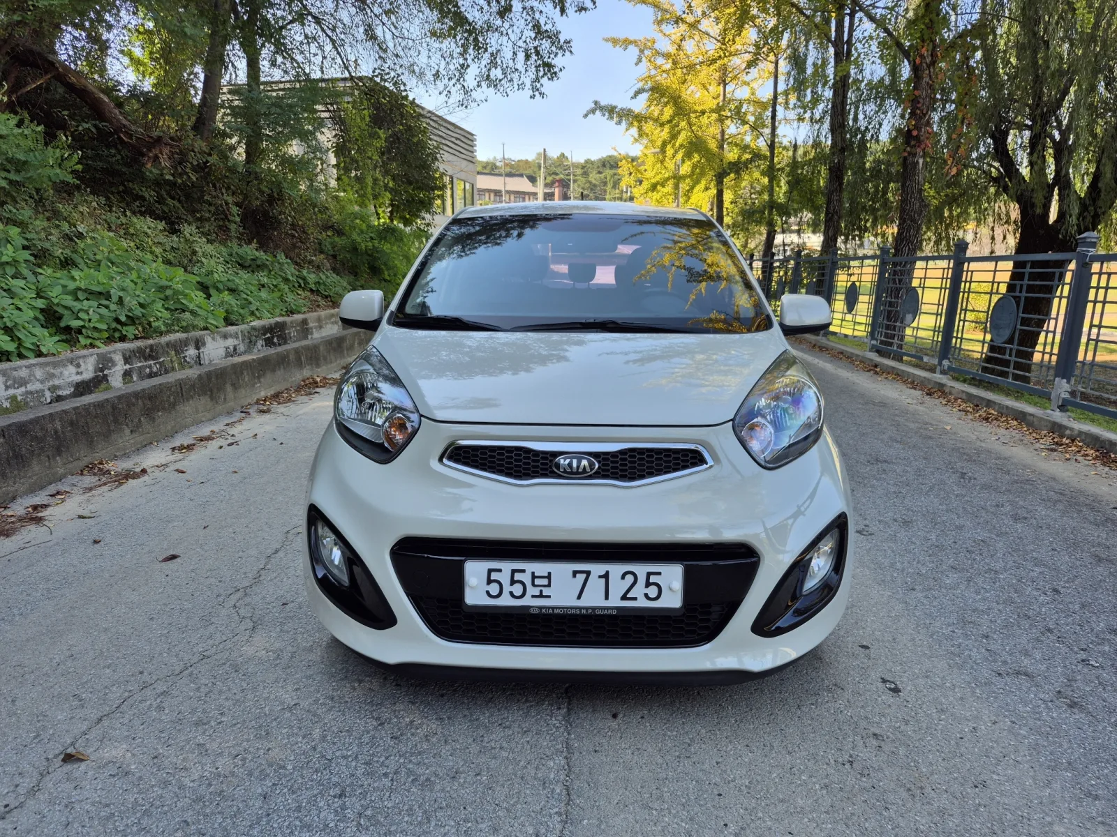 2013 Kia Picanto