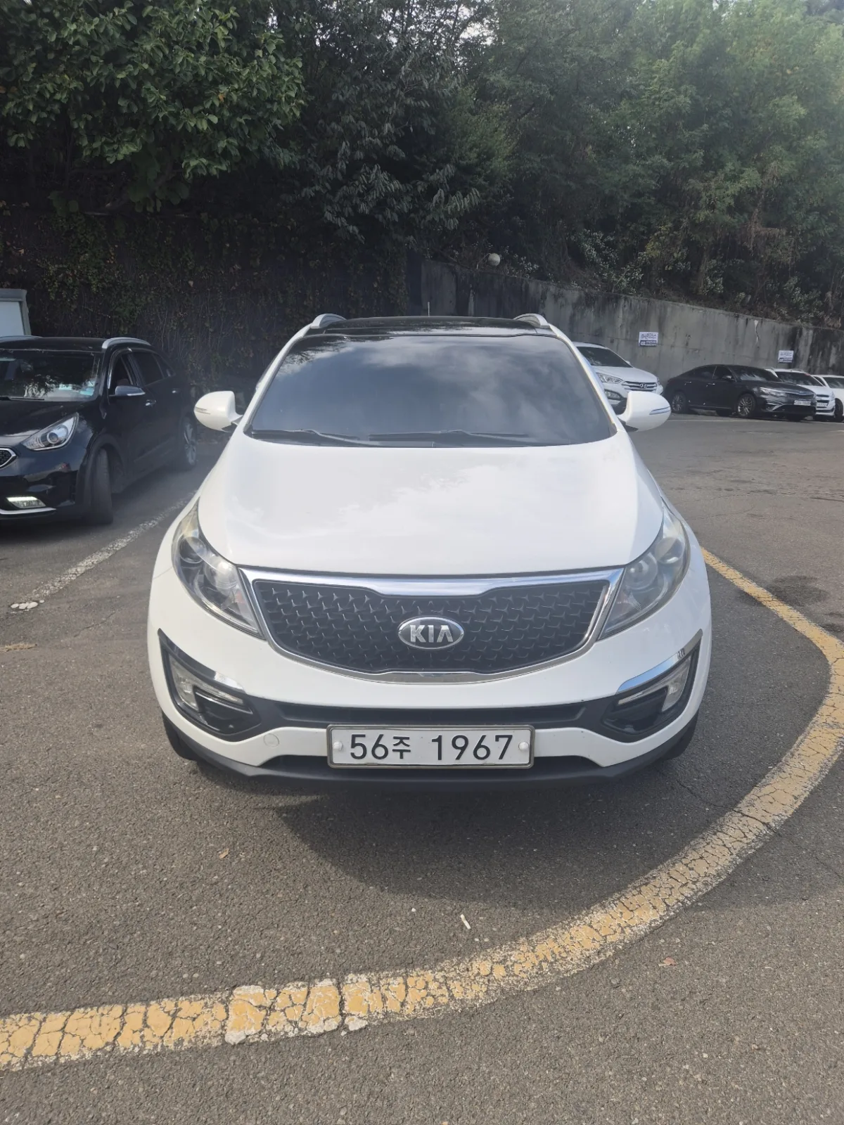 2014 Kia Sportage