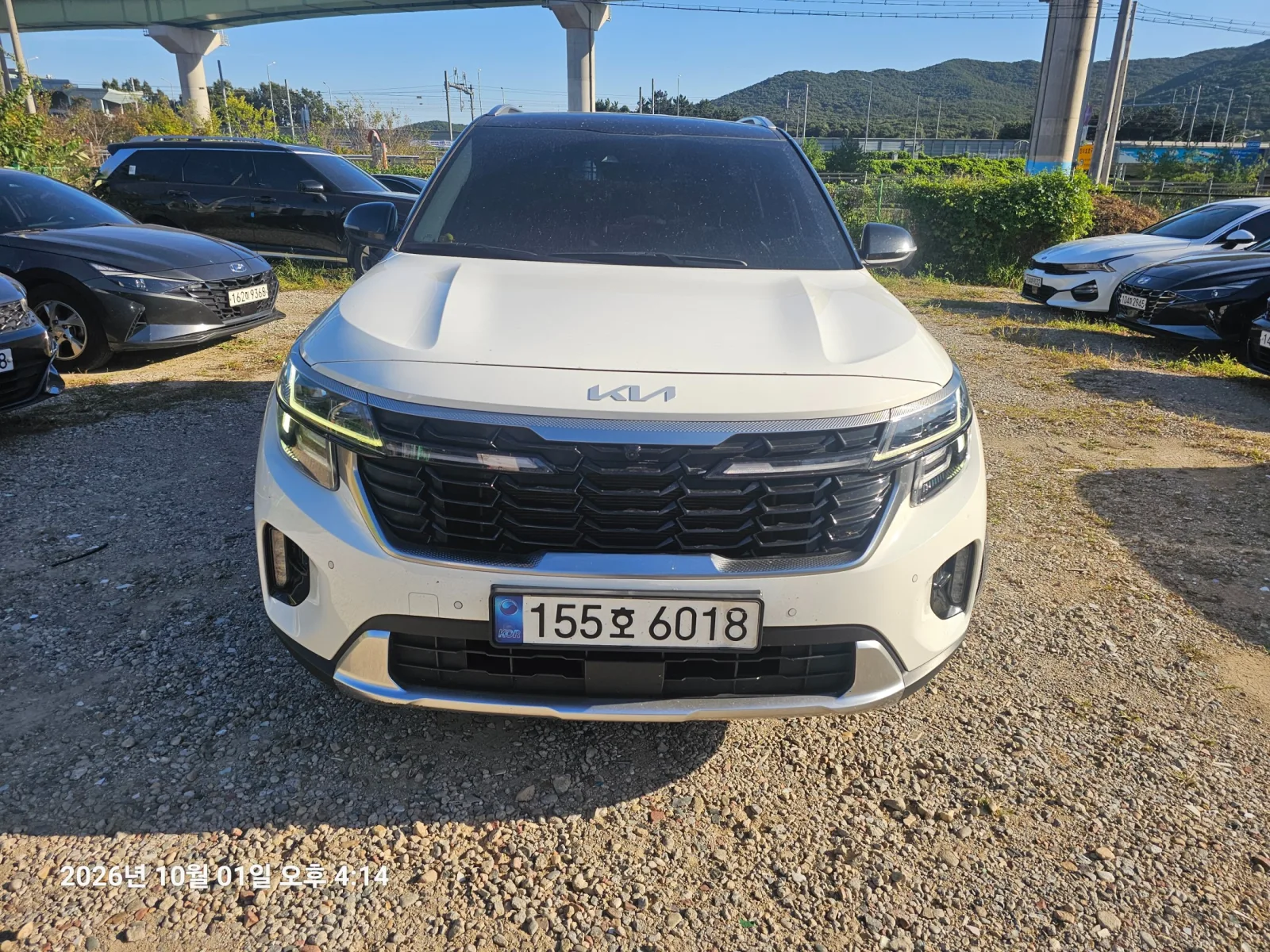 2024 Kia Seltos