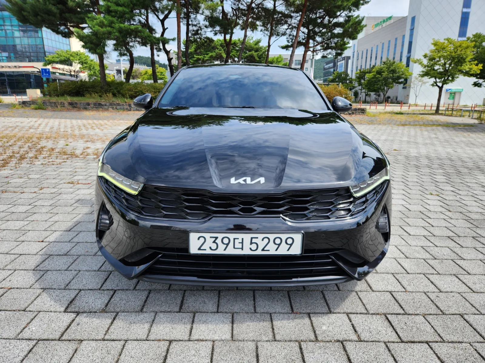 2022 Kia K5