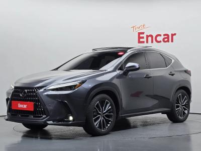 2025 Lexus NX