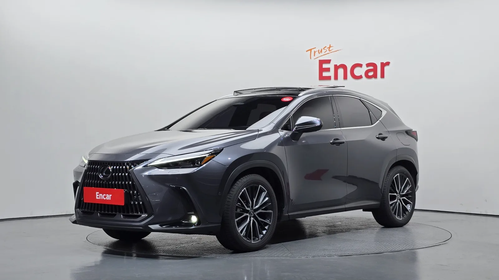 2025 Lexus NX