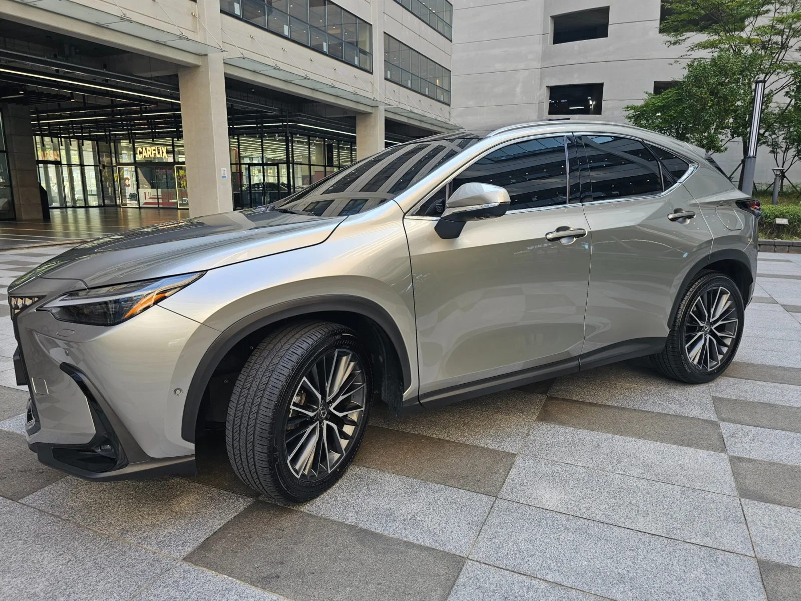 2025 Lexus NX
