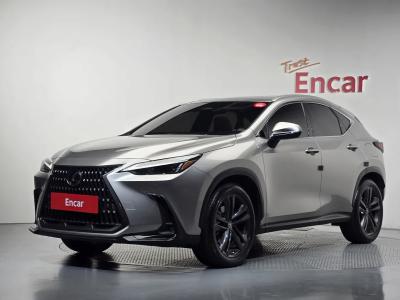 2024 Lexus NX