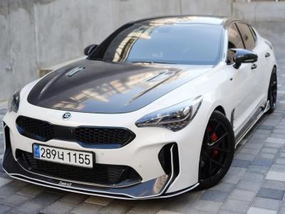 2019 Kia Stinger