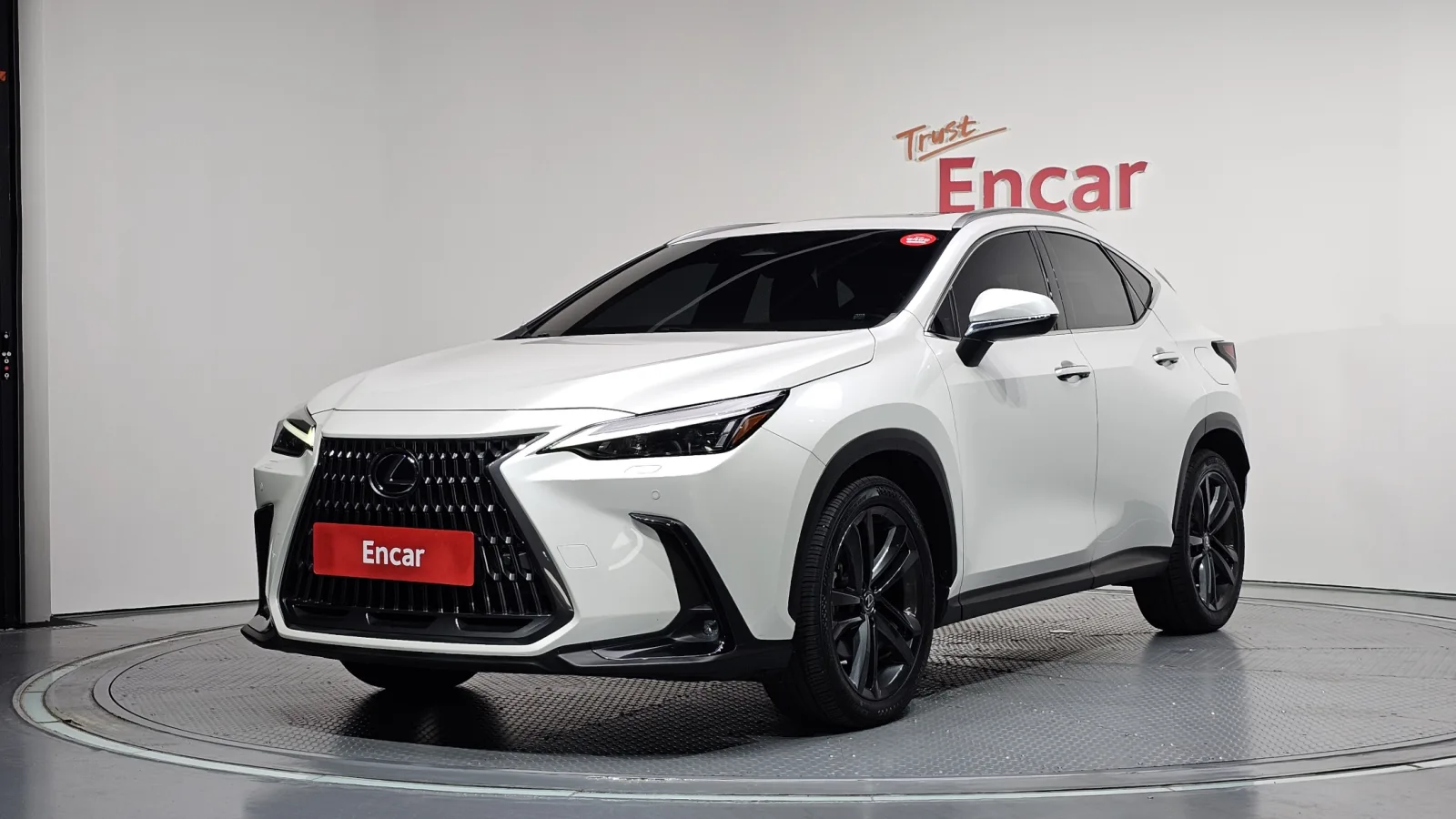 2023 Lexus NX