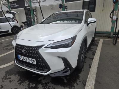 2025 Lexus NX