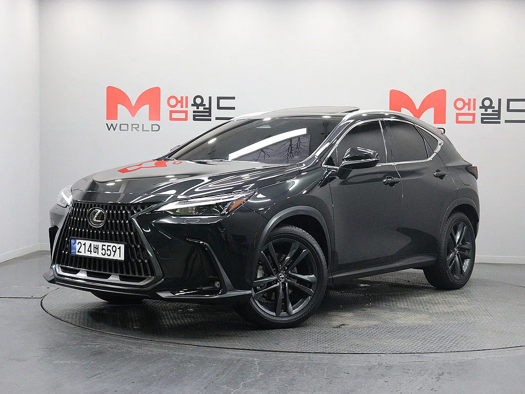 2025 Lexus NX