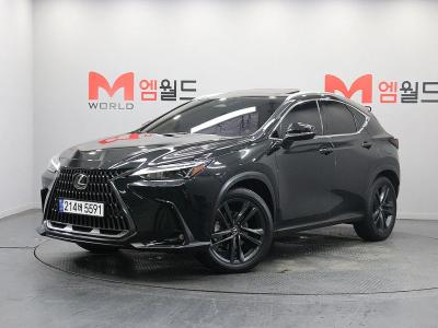 2025 Lexus NX