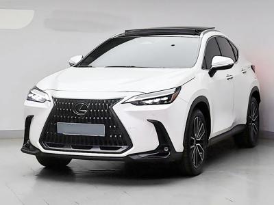 2024 Lexus NX