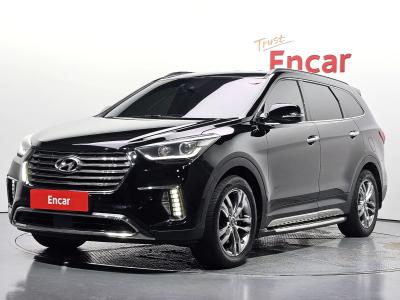 2016 Hyundai Maxcruz