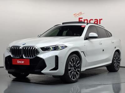 2024 BMW X6