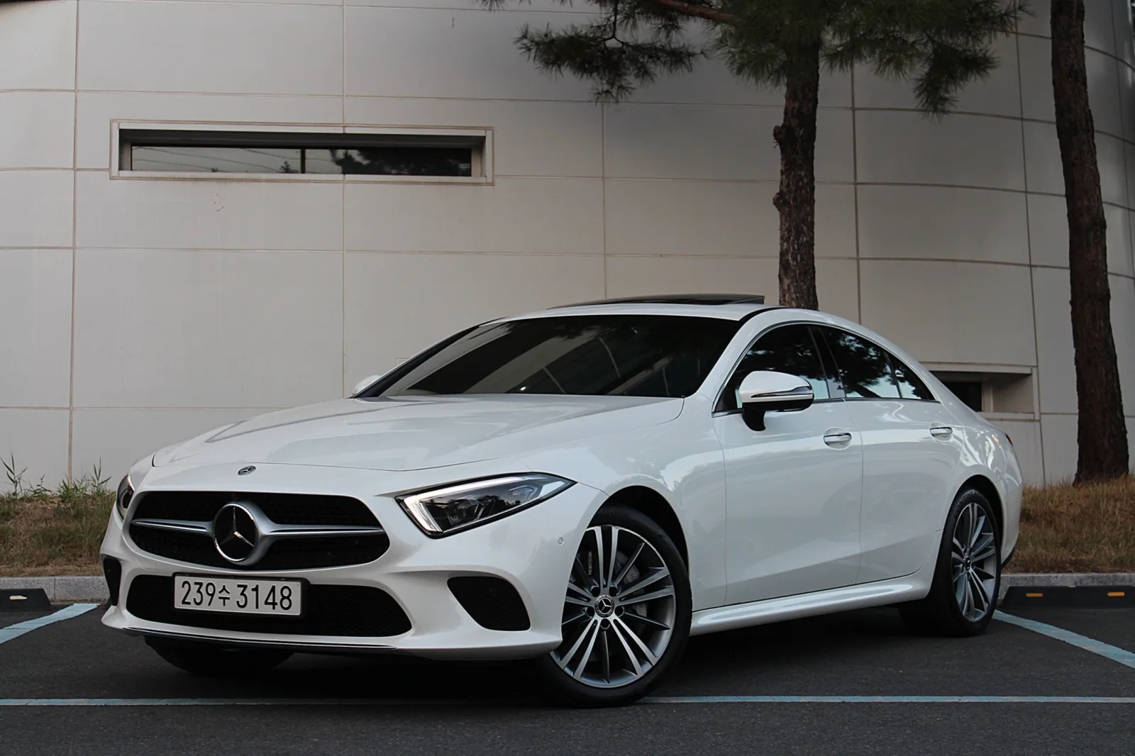 2019 Mercedes-Benz CLS-Class
