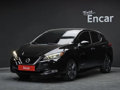 2019 Nissan Leaf