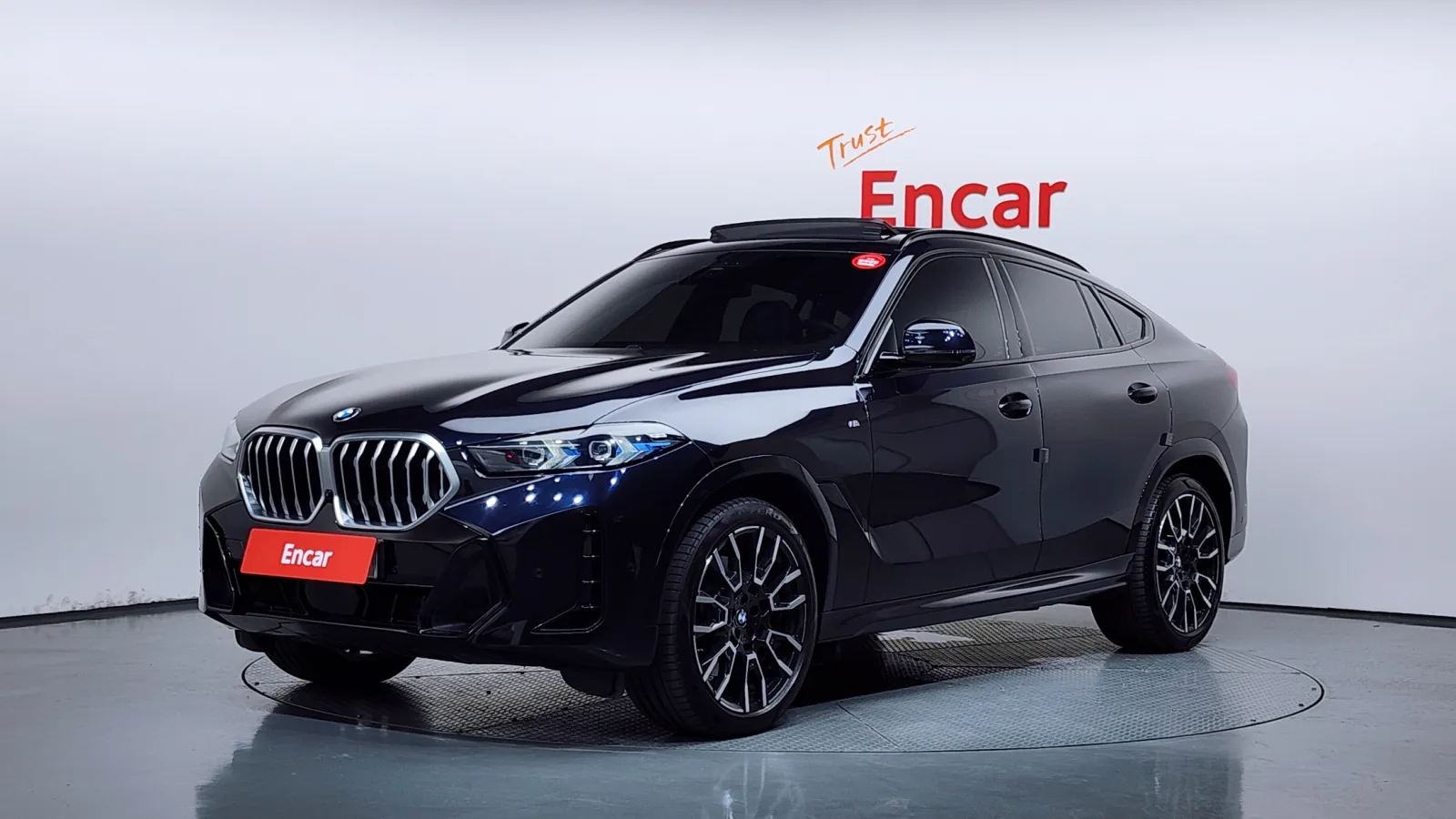 2024 BMW X6