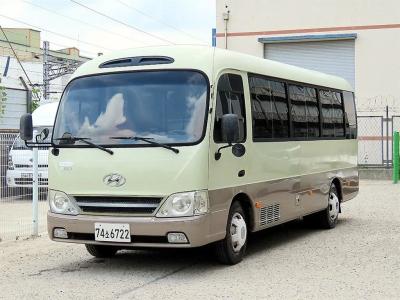 2008 Hyundai e-County