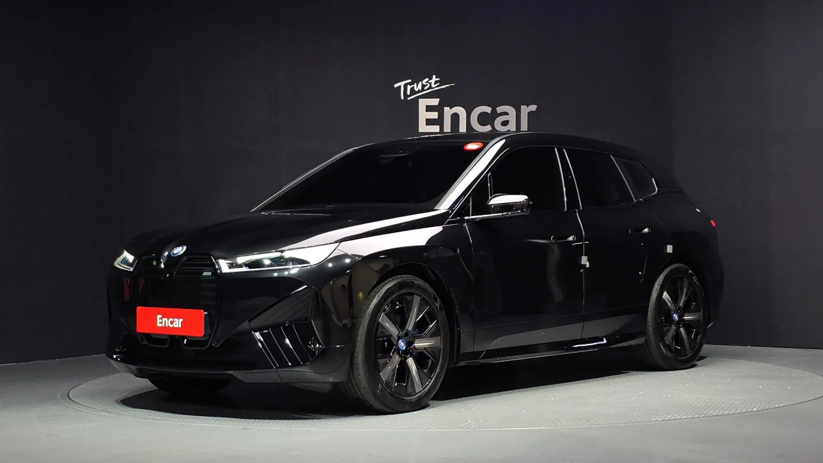 2025 BMW iX