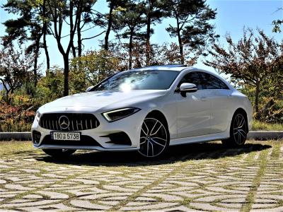 2019 Mercedes-Benz CLS-Class