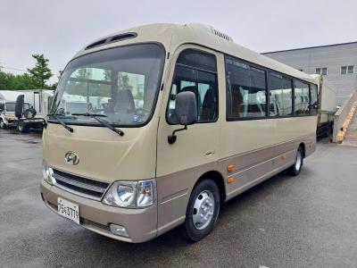 2018 Hyundai New County