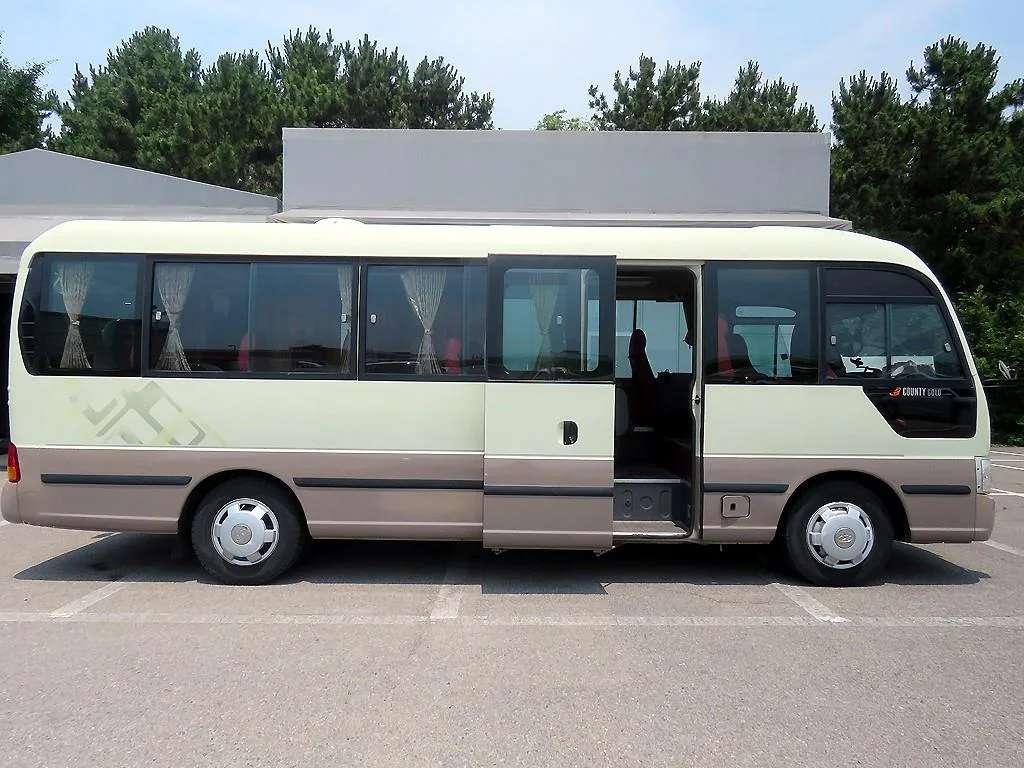 2011 Hyundai e-County