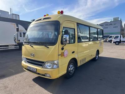2011 Hyundai e-County