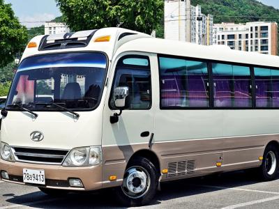 2011 Hyundai e-County