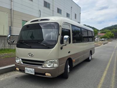 2014 Hyundai New County