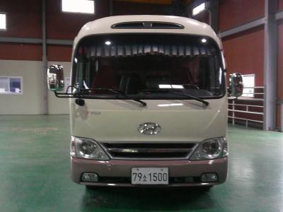 2010 Hyundai e-County