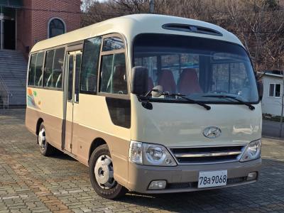 2008 Hyundai e-County