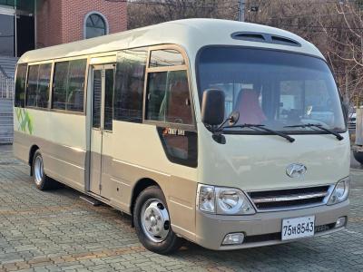 2009 Hyundai e-County