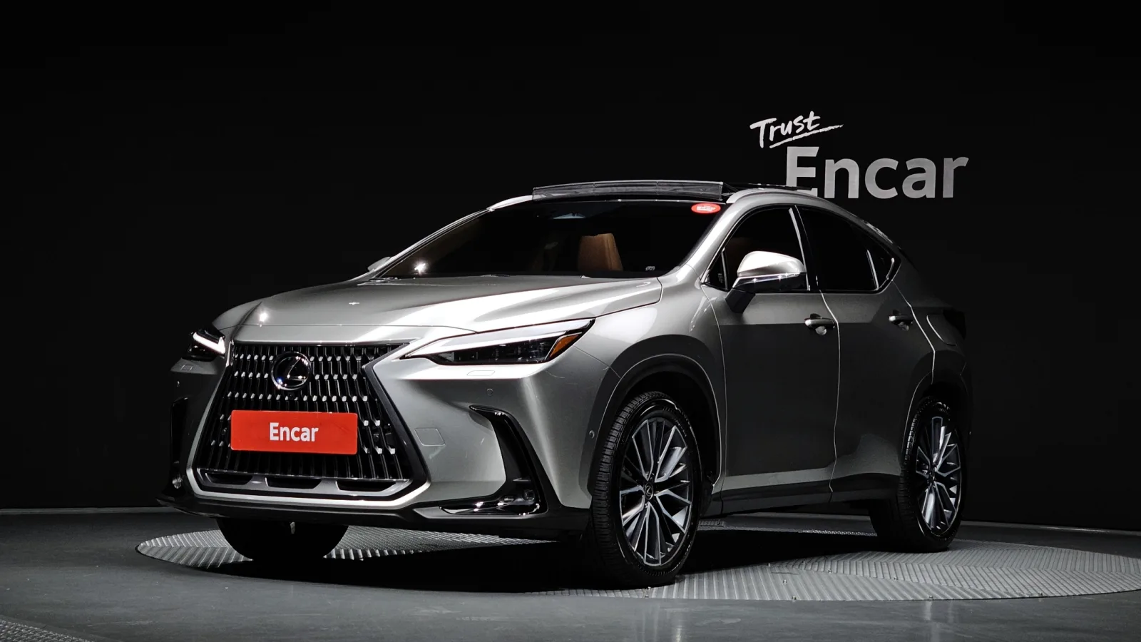2025 Lexus NX