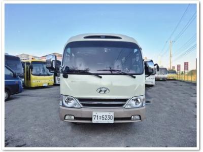 2011 Hyundai e-County