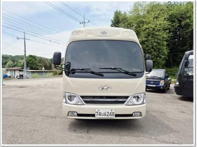 2009 Hyundai e-County