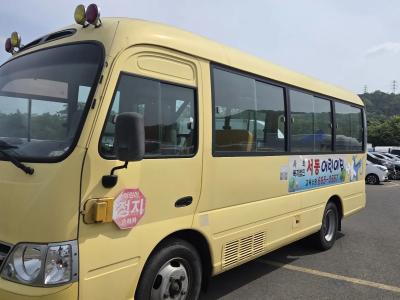 2010 Hyundai e-County