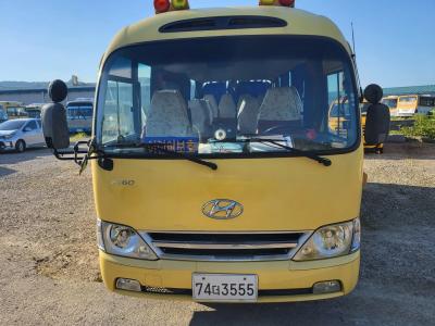 2011 Hyundai e-County