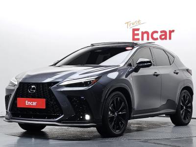 2025 Lexus NX