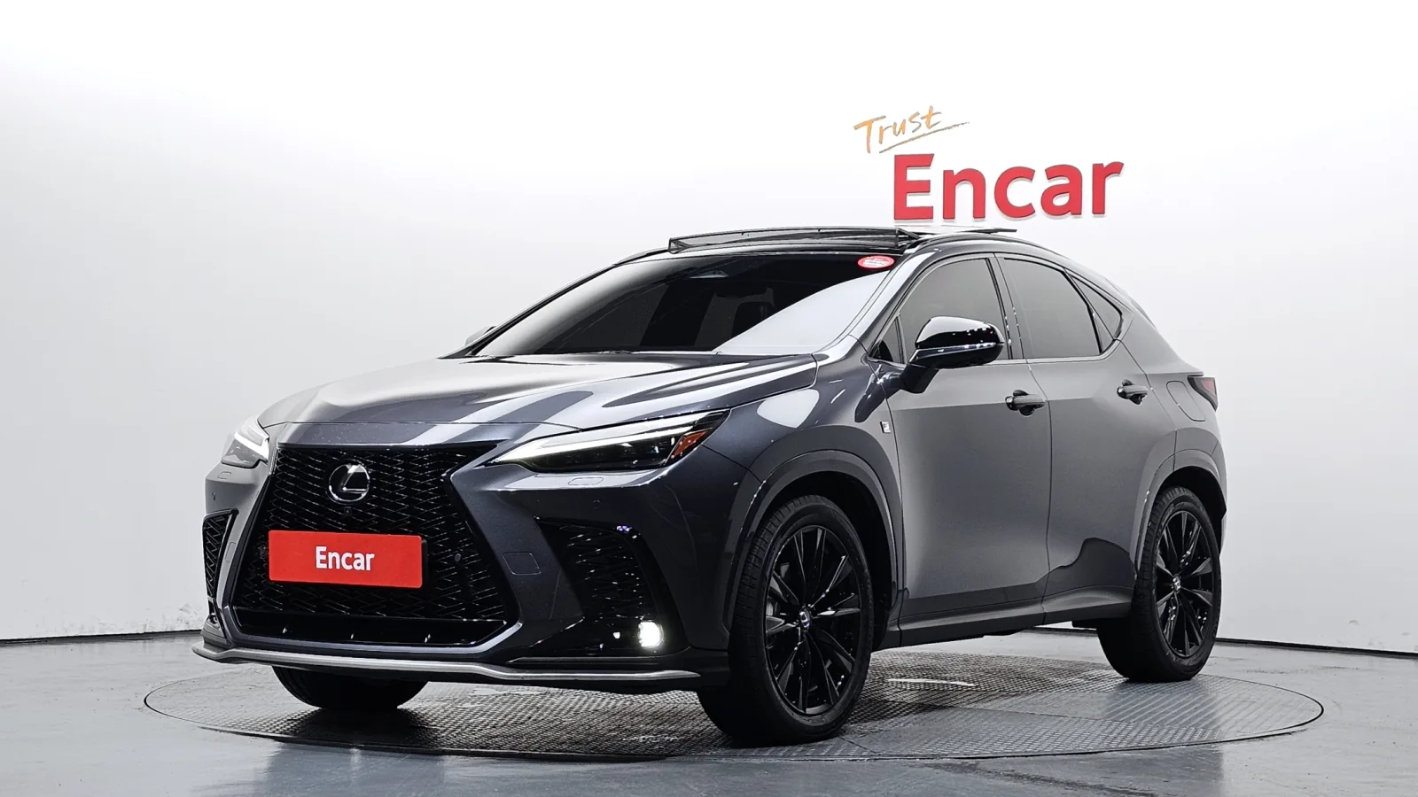 2025 Lexus NX